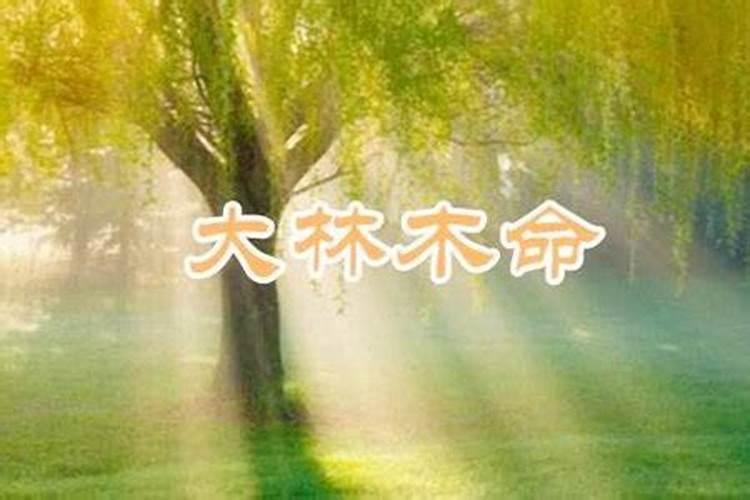 正月可以还钱吗