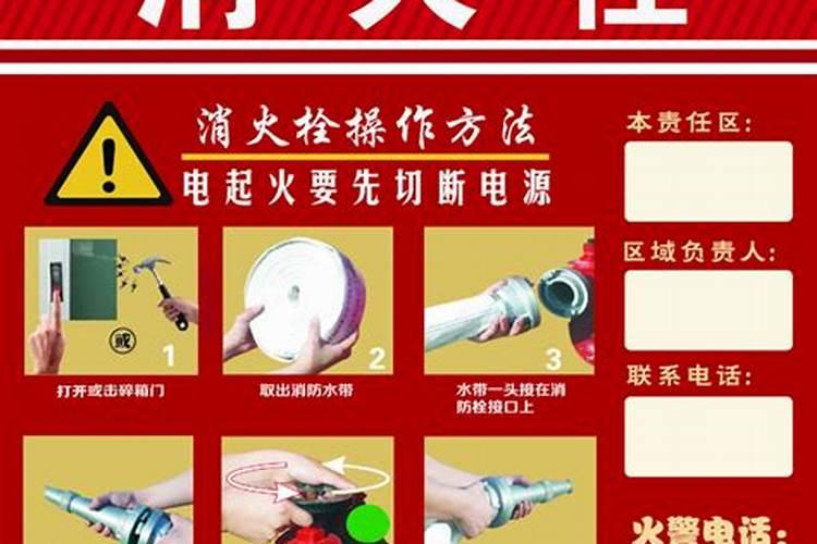 清明节的主要活动是什么