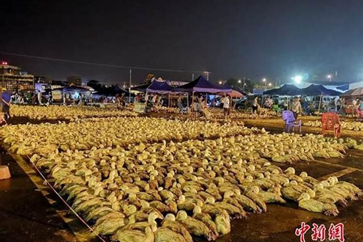 身坐财库一世荣,慷慨风流人多情是什么意思