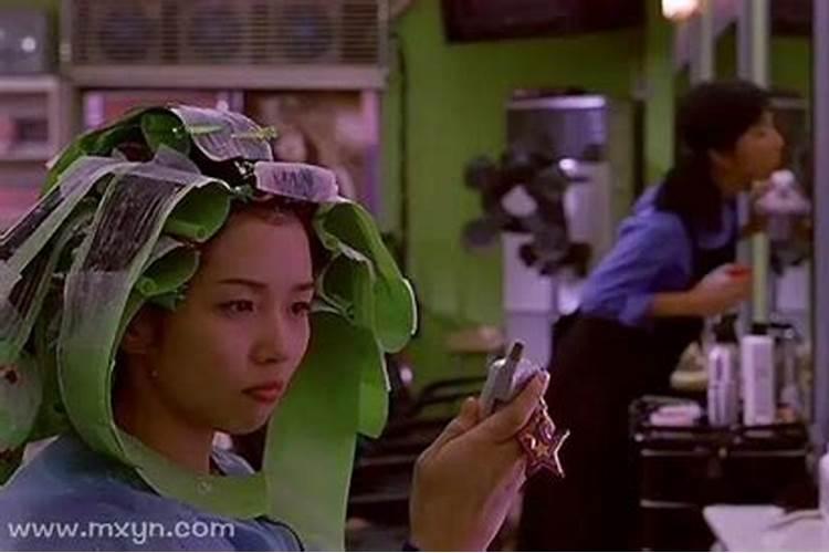 属羊人2025年全年运势 1979年