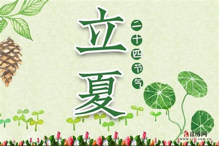 福建宁德结婚习俗突出特点嫁娶不亲迎