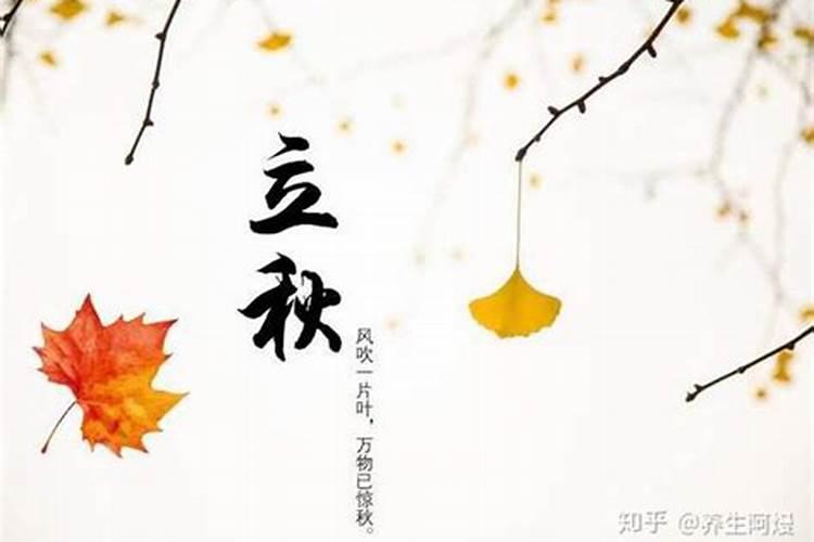 90属马一生有几次婚姻