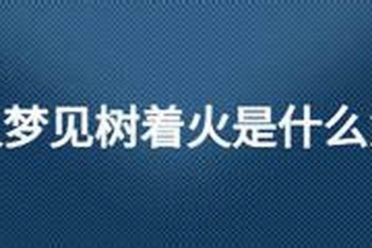 梦见自己车子起火是什么兆头