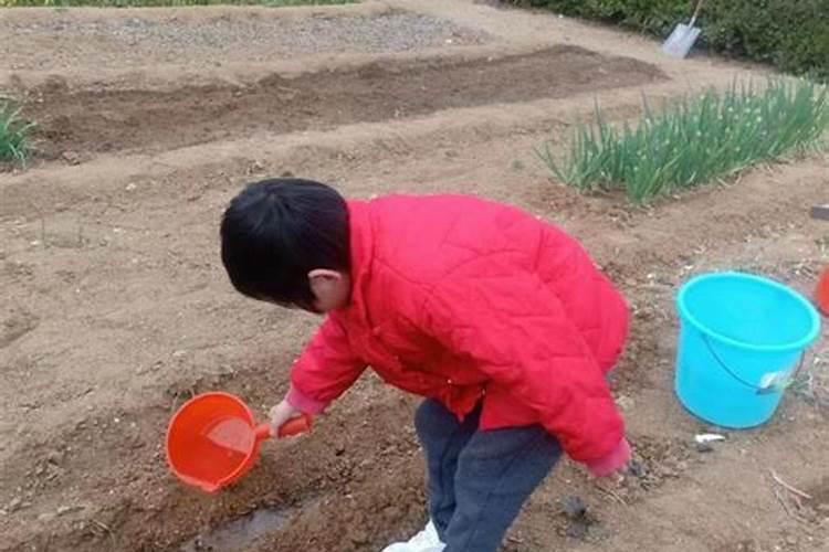 属牛的人本命年是哪一年 每个本命年运势