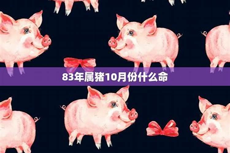 83年十月出生的属猪命运,属猪 1983年10月26日生命运如何