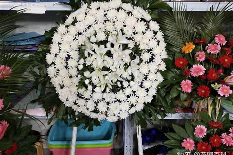 冬至的代表花是什么