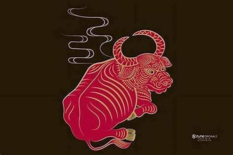 73年属牛的人50岁之后的命运如何