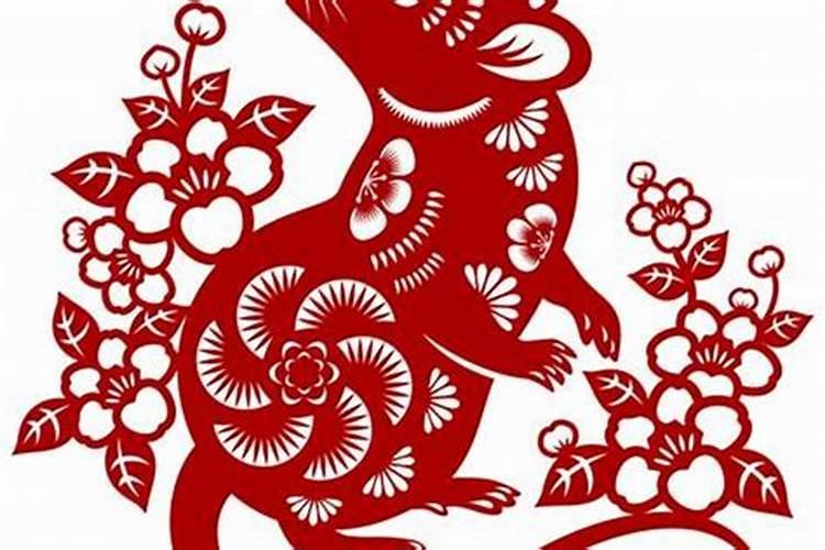 属鼠的人今日运势查询安心网