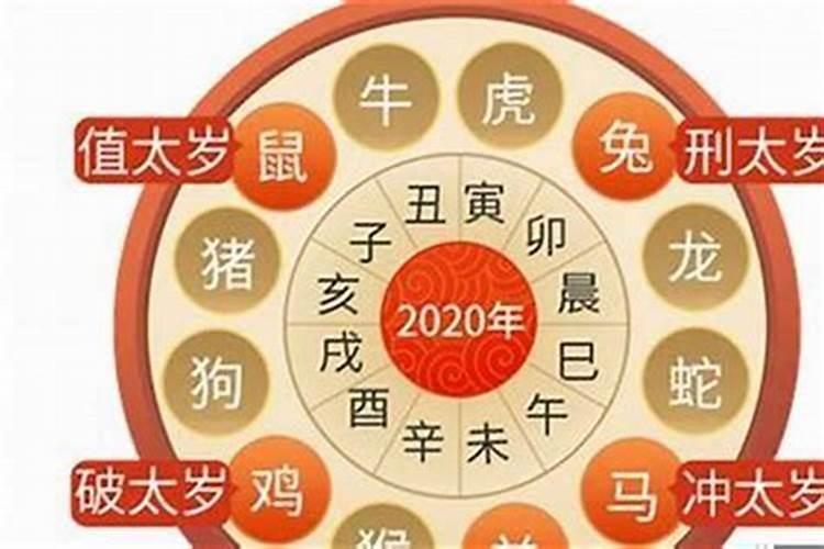 属虎犯太岁的年份