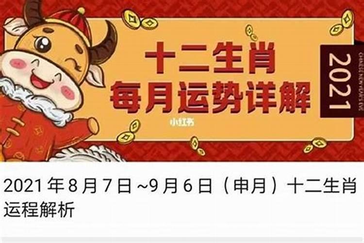 2024年12生肖每月详解