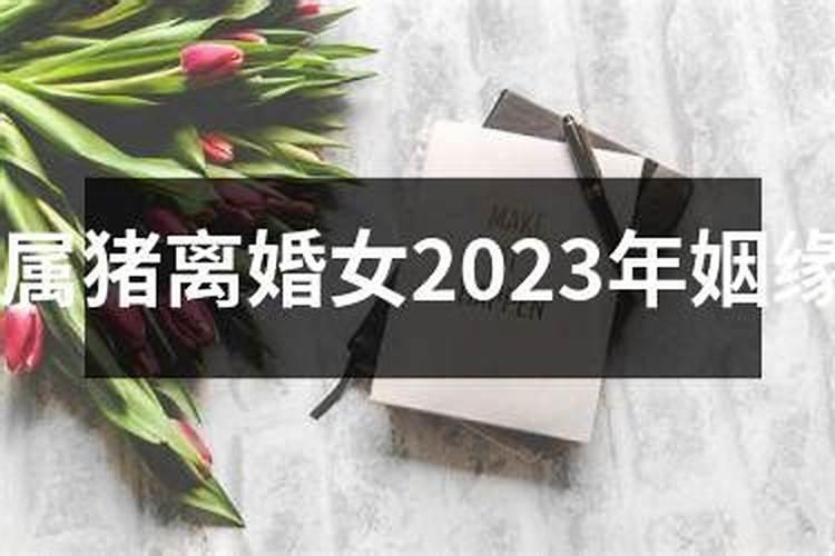 69年鸡女2025年的感情运