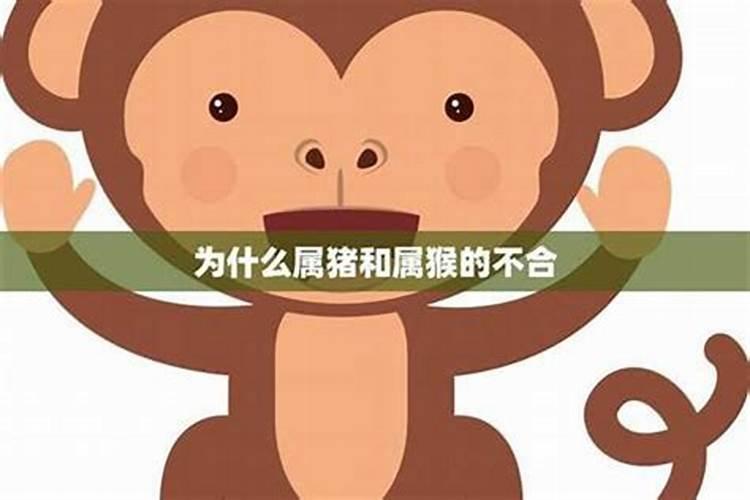 男属猴女属猪在一起有哪些不好的