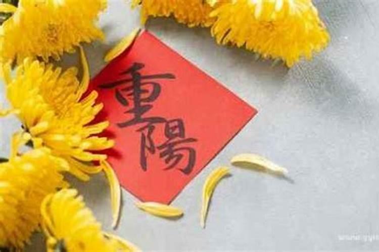 重阳节有什么习俗