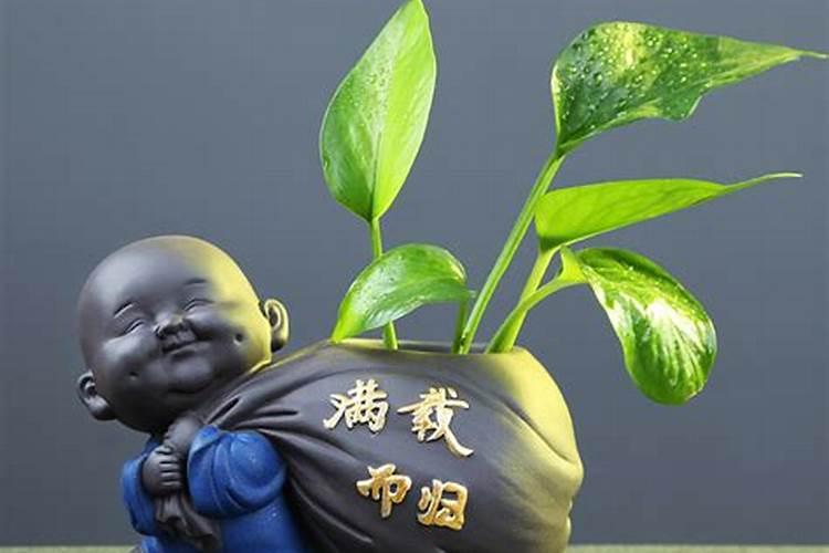 家里放小人偶风水