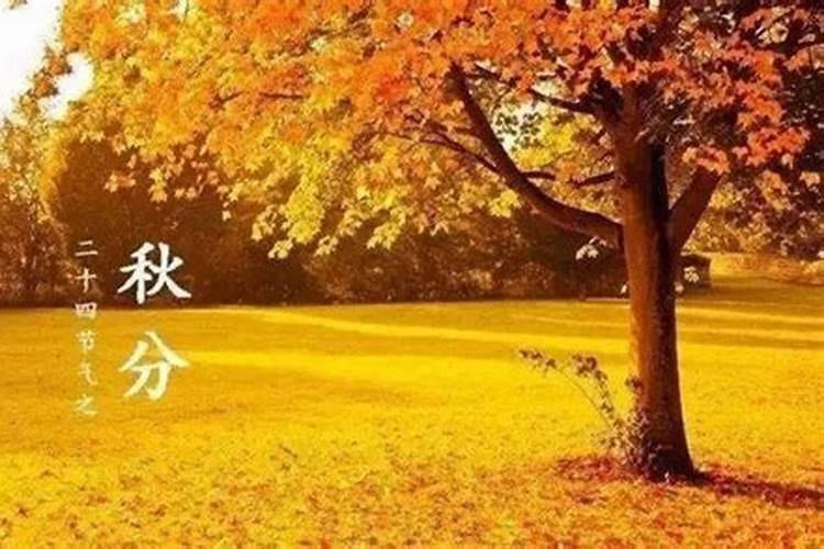 秋分打雷下雨有什么说法