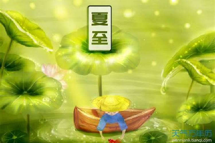 狗害羞一般会有什么表现