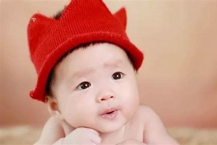 狗狗为什么要害羞
