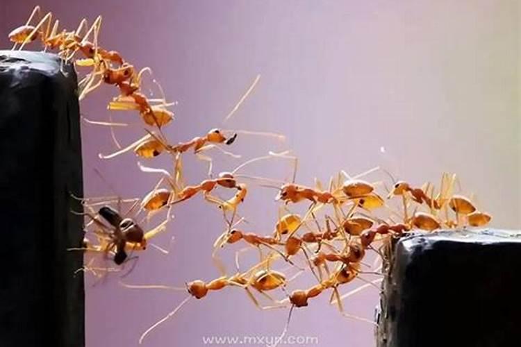 梦见一个异性超过3次以上是什么兆头？