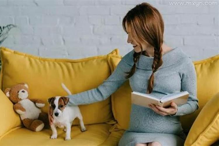 孕妇梦见狗咬自己的手有什么预兆？是什么意思？