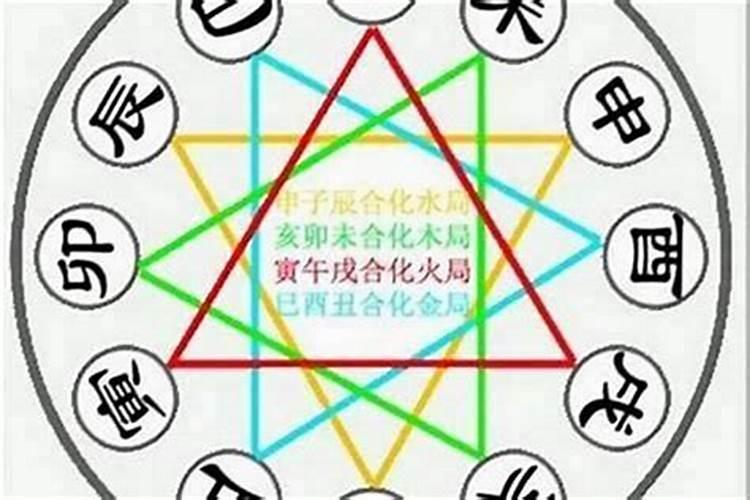 招财龙龟的摆放方法及禁忌