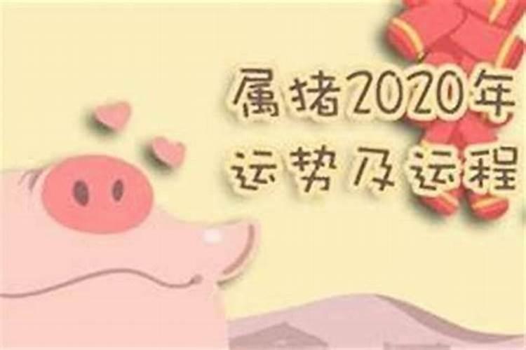 71年属猪男每月运势