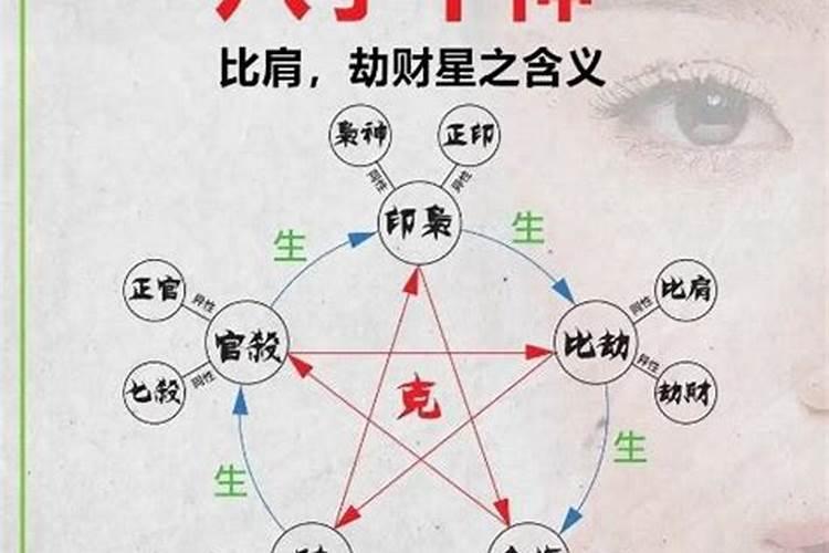 梦见好多小蛇满地爬是什么预示