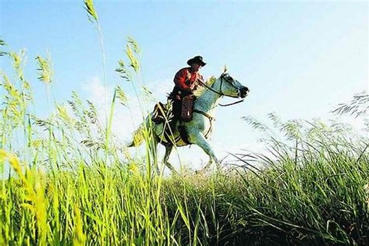 属猴冲太岁2022年化解方法,生肖猴人虎年犯太岁戴什么怎么化解