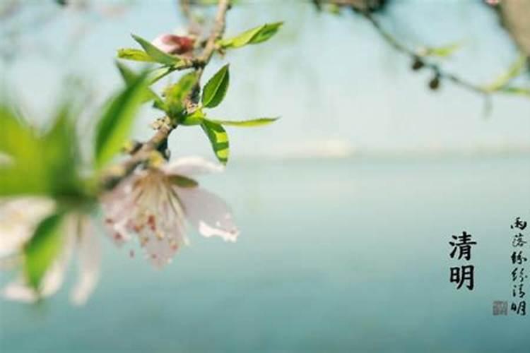 清明节是几月几日,有4月6日的吗
