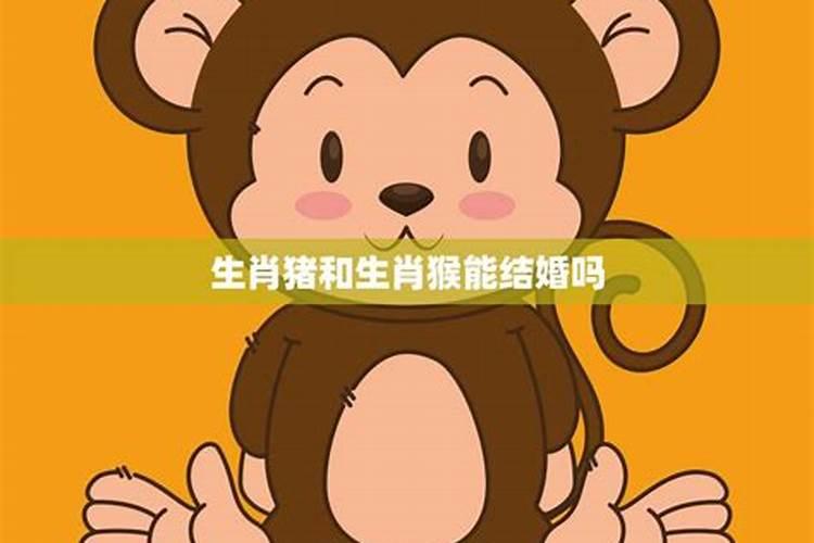 八字合婚:属猴的女人与属猪男相配吗 两人有姻缘吗