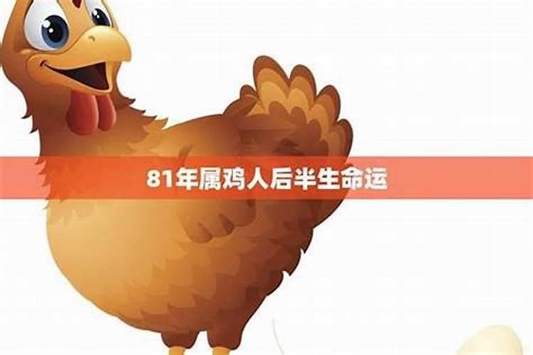 属鸡1981年12月28日6点多生人一生的命运