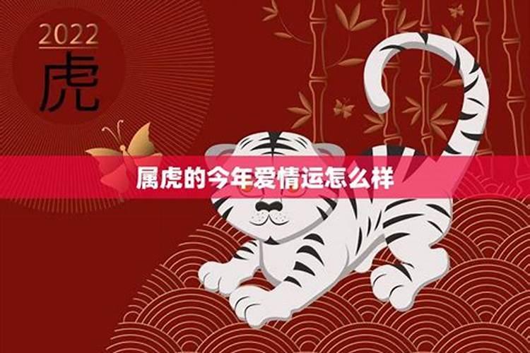 生肖虎2025年运势属虎2025年运势及运程