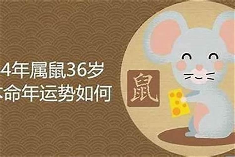 2025属蛇本命年可以结婚吗女的