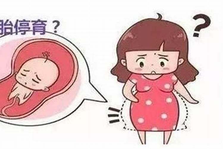 怀孕10周胎停的原因