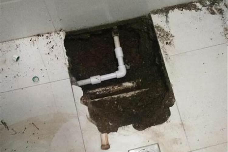 女人梦见厕所房顶漏水是什么预兆