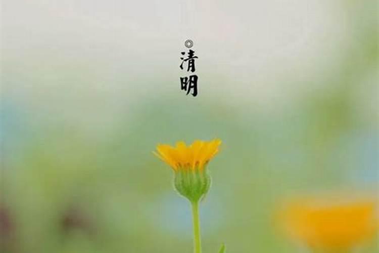 中秋节风俗有哪些英文