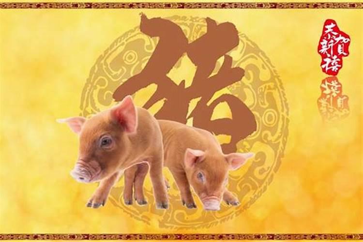 属猪人2025年每月运势