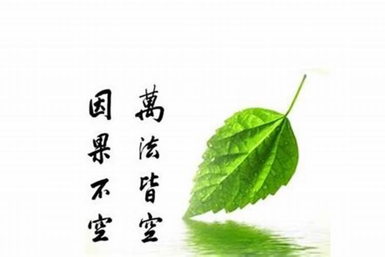 生辰八字与修道有密不可分的联系吗