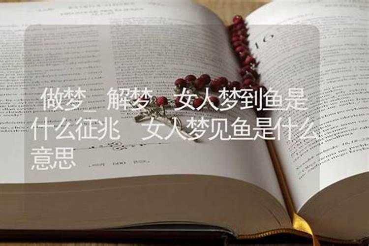 女人梦见鱼是好事还是坏事
