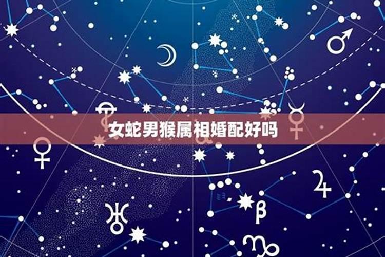 婚姻中,属相星座配对真的很准吗？