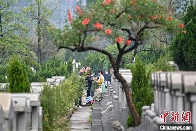 广州拜祭怎么预约