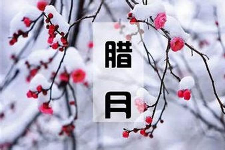 “过年上坟7大忌,犯了失福气”哪7大忌？
