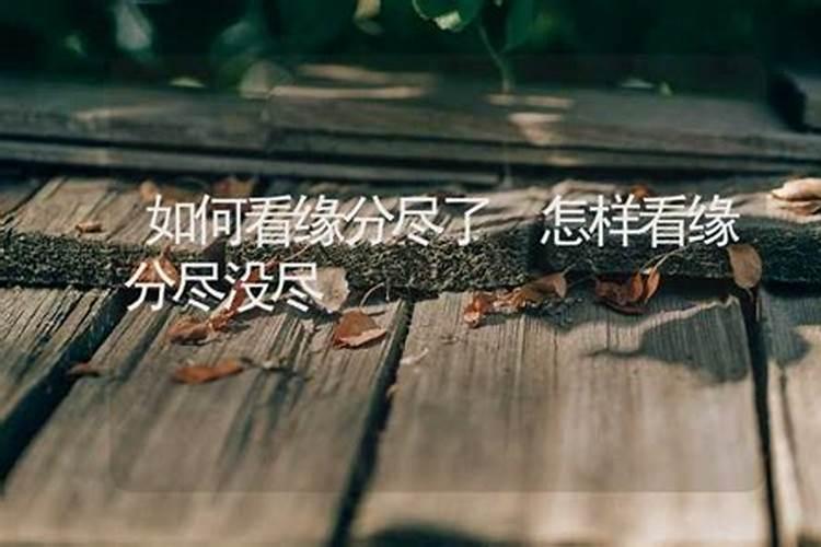 怎么看两个人是命中注定的缘分,两个人有缘分的表现。