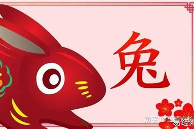 贷款还不了最终会咋办