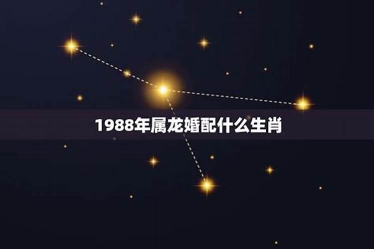 师兄,您好,请问每次放生完如何回向最圆满,需要每次回向给累生累世的...