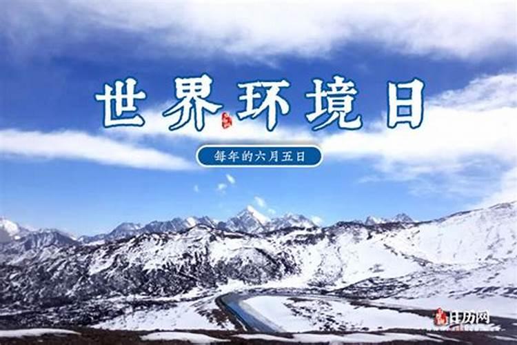 属羊的人养什么最旺财