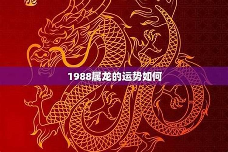 79年属羊的女和什么属相最配