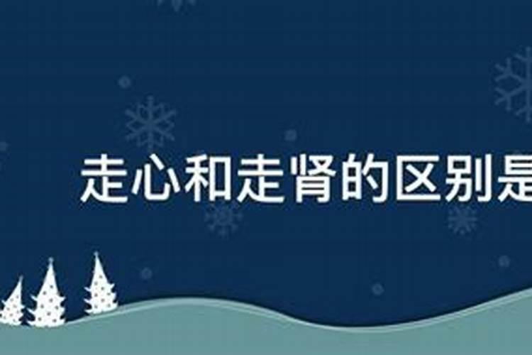 如何让判断十二星座男追你是走心还是走肾？