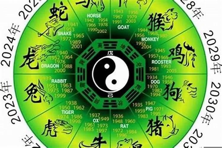 生肖属鸡人的流年财运
