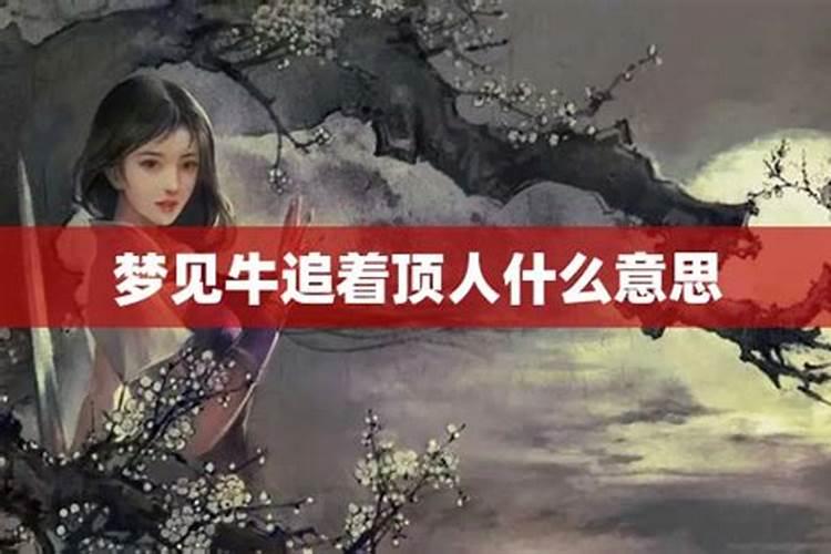 99年兔什么本命佛最旺
