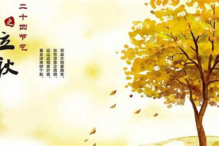 苦命兔几月出生